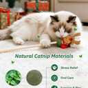 2 x Joytale 2 Pack Christmas Catnip Toys with Bell, Interactive Holiday Cat Wands Set, Catnip Toys for Indoor Cats Kittens for Chew and Relief, Snowman & Reindeer Design