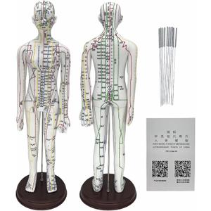 Body Acupuncture Model 20.5" - with English Points, Acupuncture Doll, Meridians Acupuncture Point Model, High Definition Clear Acupoint for Student Practice, Acupuncturists Training (Female Model)
