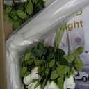 Proposal Decorations Kit Will You Marry Me LED Neon Light Metal Heart Stand Carpet 2000 Rose Petals 30 Artificial Roses for Proposal Engagement (Rose on The Stand Not Include)(White)