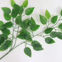 Artificial Leaves