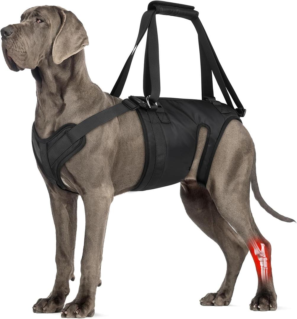 Dog Lift Harness, Dog Sling for Large Medium Dogs' Hind Leg Support Pee-Able. Ideal for Seniors, Disabled, Injured & Arthritic Dogs in ACL Recovery, Secure Harness for Assisted Mobility(Extra Large)