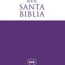 RVR, Holy Bible, Economic Edition, Rustic Cover (Spanish Edition), Book