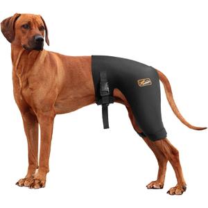 Dog Hip Brace with Hot/Cold Compress, Support for Hip Dysplasia, Arthritis, Back Leg limping, Prevents Hip Joint Issues, Reduce Hip Pain etc(Female Dog, XL)