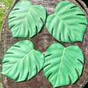 BKKDecor | Leaf Coasters for Drinks | Monstera Coaster Set of 6 | Tropical Leaf Decorations for Home | Gift Ideas Party Table Decor. (Monstera)