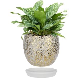 Ceramic Plant Pots for Plants Indoor 5.3 Inch Round Gold and White Flower Pot Gilded Decorative Planter with Drainage Hole and Saucer Modern Ceramic Pot for Succulents Orchids Cactus Herbs Home Decor