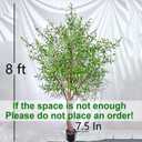 Niwellveb 8FT Fake Tree Artificial Olive Trees Artificial Indoor Realistic Potted Silk Indoor Large Fruit for Home Offices, Living Rooms, Bedrooms, Stairs and Foyer Decor (8 Ft Leaf Type)