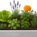 Raised Garden Bed - 2x4 ft Planter Box - White HDPE - No Tools Needed - DIY Kit for Urban Gardening, Flowers, Herbs & Vegetables - Made in The USA