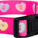 Native Pup Valentines Dog Collar- Valentines Day Pet Collars- Valentine Girly Hearts- Pink Red Heart- Cute Boy Girl Puppy Gift- Adjustable for Small, Medium, Large Breeds (Candy Hearts, Large)