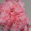 Hawesome 33Ft Artificial Flowers Garland Fake Wisteria Hanging Flowers Garlands Vine for Party Wedding Garden Decoration 10 Pack (Pink）
