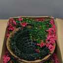 HyeFlora 2 Set Artificial Outdoor Flowers Hanging Basket, Faux Hanging Plants for Outside Spring Decoration, Fake Silk UV Resistant Look Real Daisy for Porch Patio Home Decor (Rose Red)