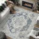 jinchan Area Rug 8x10 Washable Living Room Rug Vintage Soft Indoor Large Floor Cover Retro Distressed Mat Accent Lightweight Non-Slip Thin Carpet for Kitchen Bathroom Bedroom Grey
