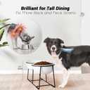 Ceramic Elevated Dog Bowl Set - Raised Double Feeding Bowls with Metal Stand - Pet Dishes for Medium and Large Dogs - 3.5 Cups - 54 fl oz - Matte White