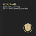 Purina Pro Plan High Protein Wet Kitten Food Variety Pack, DEVELOPMENT Kitten Favorites - (Pack of 24) 3 oz. Cans (EXP 09/01/27)