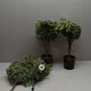 3FT Artificial Christmas Cedar Tree for Outdoor Front Porch Decor, Real Touch Christmas Topiary, Realistic Potted Fake Faux Tree Plants for Indoor Garden Holiday Winter Decoration