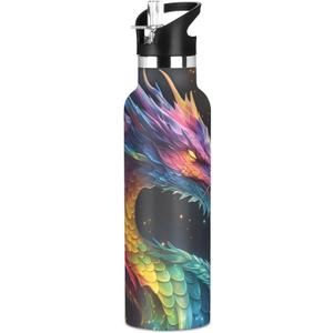 Dragon Galaxy Colorful Water Bottles for Boys Kids Stainless Steel Bottle Cups with Straw Lid Leakproof Insulated Flask Jug 20 oz