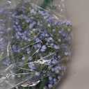 Yastouay Babys Breath Artificial Flowers, 30 Pcs Blue Baby Breath Flowers Artificial Bulk, Real Touch Fake Babys Breath Gypsophila for Wedding Party Bouquet Floral Arrangement Home Decor