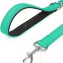 Taglory Dog Leash for Medium Large Dogs, Double-Sided Reflective Leash with Soft Neoprene Padded Handle, 1 inch by 6 ft, Fit Medium Large Breeds 20-150 lbs, Turquoise