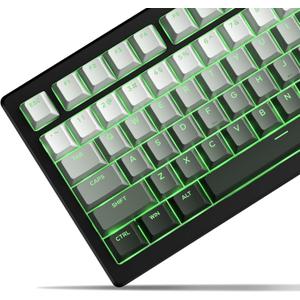 x XVX Shine Through PBT Keycaps, Custom Keycaps 60 75 100 Percent OEM Profile, Doubleshot Key caps Set for 61/64/68/84/87/100/104/108 Gaming Mechanical Keyboard, Gradient Green