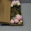 Pink Peonies Artificial Flowers 2 Bouquets Vintage Peonies 18pcs Pink Peonies with Single Long Stems Silk Flowers for Wedding Decoration Bride Bouquet Flowers Crafts Floral Arrangement (Pink)