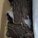 Fish Tank Decorations - Large Aquarium Decorations Air Bubbler Tree Fish House for Betta Hideout Caves Buddha Decor Temple Ruins Arched Betta Fish Accessories Reptile House Shelter Decor (Wood A-L)