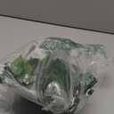 Fake Plant 15.7" Artificial Plants Indoor Small Ficus Potted Plants Silk Plants Faux Topiary Plant for Home Bathroom Bedroom Dining Room Kitchen Window Shelf Desk Centerpieces Tabletop Decor (Green)