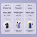 milk_shake icy blond shampoo award winning shampoo with black pigment to cool brassy tones and enhance platinum blonde hair ideal for maintaining icy, ash-toned color (10.1 Fl Oz (Pack of 1))