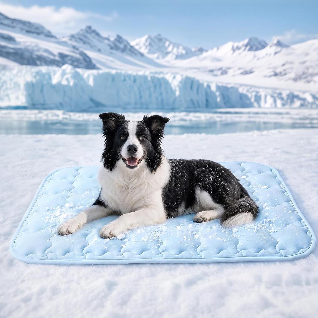 Luciphia Premium Dog Cooling Mat Non-Slip Q-MAX>0.5 Self-Cooling Pad for Large Pet Indoor Portable Kennel Puppy Bed for Couch Summer Crate Pad for Dog Washable Light Blue 40x60 inches