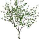 Nearly Natural 10ft Minimalist Citrus Artificial Tree, UV Resistant