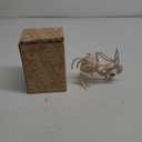 JOYIN Rooster Skeleton Halloween Decoration 6.89 Inch Animal Skeleton Plastic Bones with Posable Joints for Yard Garden Graveyard Haunted House Cemetery Outdoor Indoor Table Top Decorations