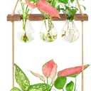 XXXFLOWER Wall Hanging Propagation Station with Wooden Stand 3 Bulb Vase 2 Tiers Planters Wall Terrarium for Home Office Plant Hanger Flower Vases Wall Decor(Brown)