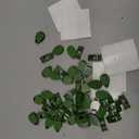60 Pieces Plant Climbing Wall Fixture Clips with 72 Pieces Acrylic Adhesive Sticker Leaf Fixer Invisible Wall Vines Fixing Clips Self-Adhesive Hook Plant Vine Traction for Indoor Outdoor Decoration