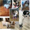 EXPAWLORER 6Pcs Anti Slip Dog Socks to Prevent Licking Paws, Dog Shoes for Winter, Double Sides Dog Boots & Paw Protectors Booties for Hardwood Floors with Grippers Small Medium Large Senior Dogs, M (Pink)