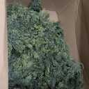 6ft Real Touch Cedar Garland Artificial Realistic Christmas Greenery Pine Garland with 150 Cedar Branches for Mantle, Fireplace, Table, Stairs, Doorframe, Window, Outdoor Indoor Xmas Decor