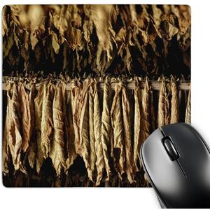 3D Rose "Dry Tobacco Leafs in A Plantation in Pinar Del Rio in Cuba" Matte Finish Mouse Pad - 8 x 8" 