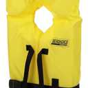 Seachoice Life Vest, Type II