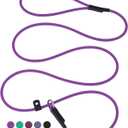 Slip Lead Dog Slip Leash -5FT Purple Waterproof PVC Pet Leashes Dogs Training Leashes Training Leads Long-Lasting Slip Collar Slip Lead for Small Large, Medium Pets (5ft * 1/4'')