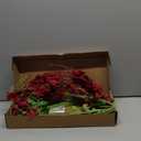 Spring Wreath for Front Door, 24 Inch Spring Red Forsythia Wreath Blossom Cluster Flower Farmhouse Wreath on Grapevine for Front Door Wall Window Decoration Home Decor Festival Celebration