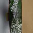 Babys Breath Artificial Flowers,12 Pcs Gypsophila Real Touch Flowers for Wedding Party Home Garden Decoration (White)