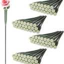 LDHHYH 100 Pack 12 Inch Green Floral Water Tubes, Plastic Fresh Flower Water Tubes with Rubber Caps, Floral Water Picks for Flower Arrangements Supplies