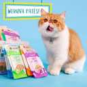 Weruva Slide N' Serve Pat Wet Cat Food, Jeopurrdy Licious Chicken Dinner, 2.8oz Pouch (Pack of 12)