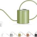 Plant Watering Can, 50 oz / 1500 ml Stainless Steel Metal - Modern Decorative with Long Spout for Indoor Potted Plants, Bonsai, Garden Flowers, Saga Green