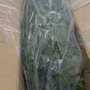 3ft Artificial Cedar Topiary Trees 2 Pack,Real Touch Cedar Tree Faux Plants Potted UV Resistant Evergreen Tree for Outdoor Indoor Door Garden Farmhouse Home Decoration