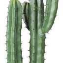 3 x Artificial Cactus Fake Big Cactus 36 Inch Faux Cacti Plants for Home Garden Office Store Decoration