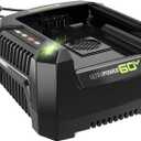 Greenworks Pro 60V Ultra Power 6A Rapid Charger - Works with All Greenworks Batteries