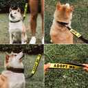 Tuff Pupper Waterproof Leash Sleeve | Fits Any Standard Size 1 Inch Wide Leash | Dual Sided Message | Durable Neoprene & Silicone | Odor & Stink Proof | Easy Secure On & Off (2 Pack, Adopt Me)