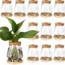Baderke 12 Packs Propagation Vases for Plants Plastic Plant Propagation with Hole Lid and Bamboo Stand Growing in Water Hydroponic Home Office Desktop Vase Decoration (Cup Style)