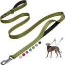 Fida 6 FT Heavy Duty Dog Leash with 2 Comfortable Padded Handles, Traffic Handle & Advanced Easy Snap Hook, Reflective Walking Lead for Large, Medium & Small Breed, Green