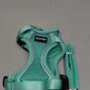 Halypet Cat Harness and Leash Set [MAX Safety 4th-Gen Upgrade] Escape Proof Adjustable Cat Leash Comfortable Soft Vest Easy to Wear Kitten Harness with Reflective Strip for Cats Walking, S Green (Small (7-12lb))