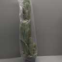 Artificial Cactus Fake Cacti 30" Faux Potted Cactus Plants for Home Store Office Decoration