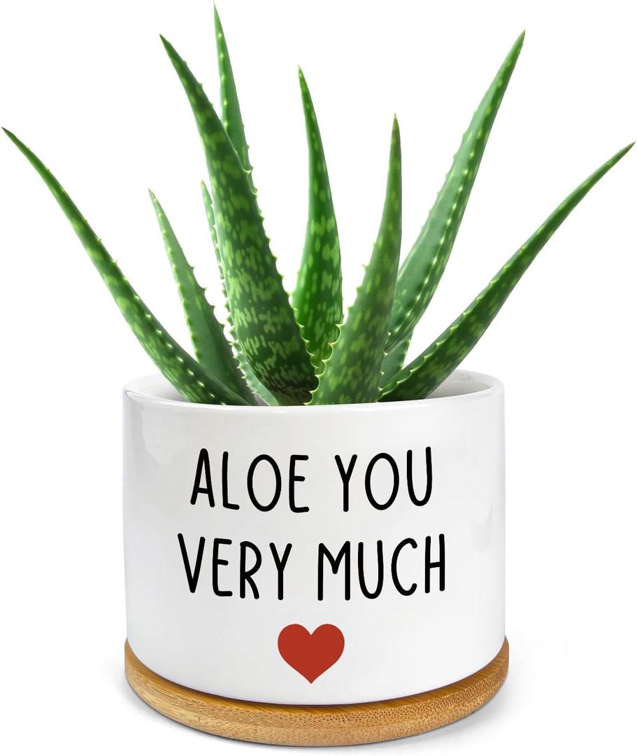 You Very Much- White Ceramic Engraved Mini Succulent Aloe Cactus Planter Pot, Funny Plant Pots Indoor Flower Plant Pots for Home Office Windowsill Levitating Plant Pot Gifts, 3.8 inch